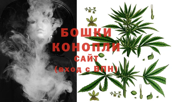 трава Бородино
