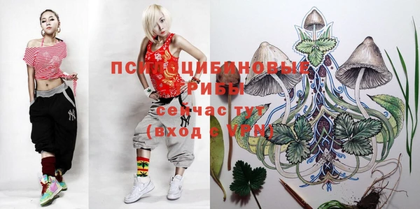 трава Бородино