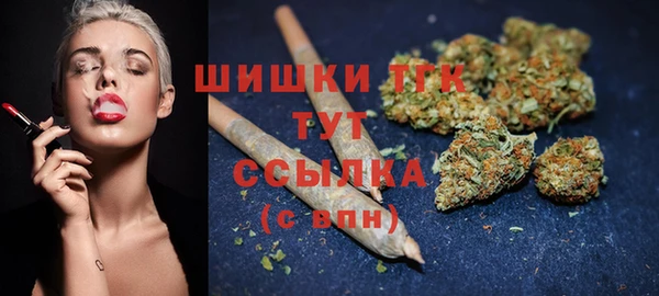 трава Бородино