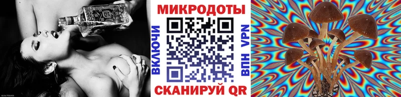 kraken ТОР  Южноуральск  Галлюциногенные грибы мицелий 